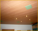 Paneeldecke mit Dekoreinlagen